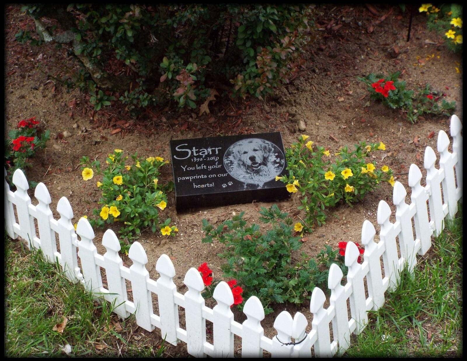 Pet Memorial Services That Create Lasting Tributes